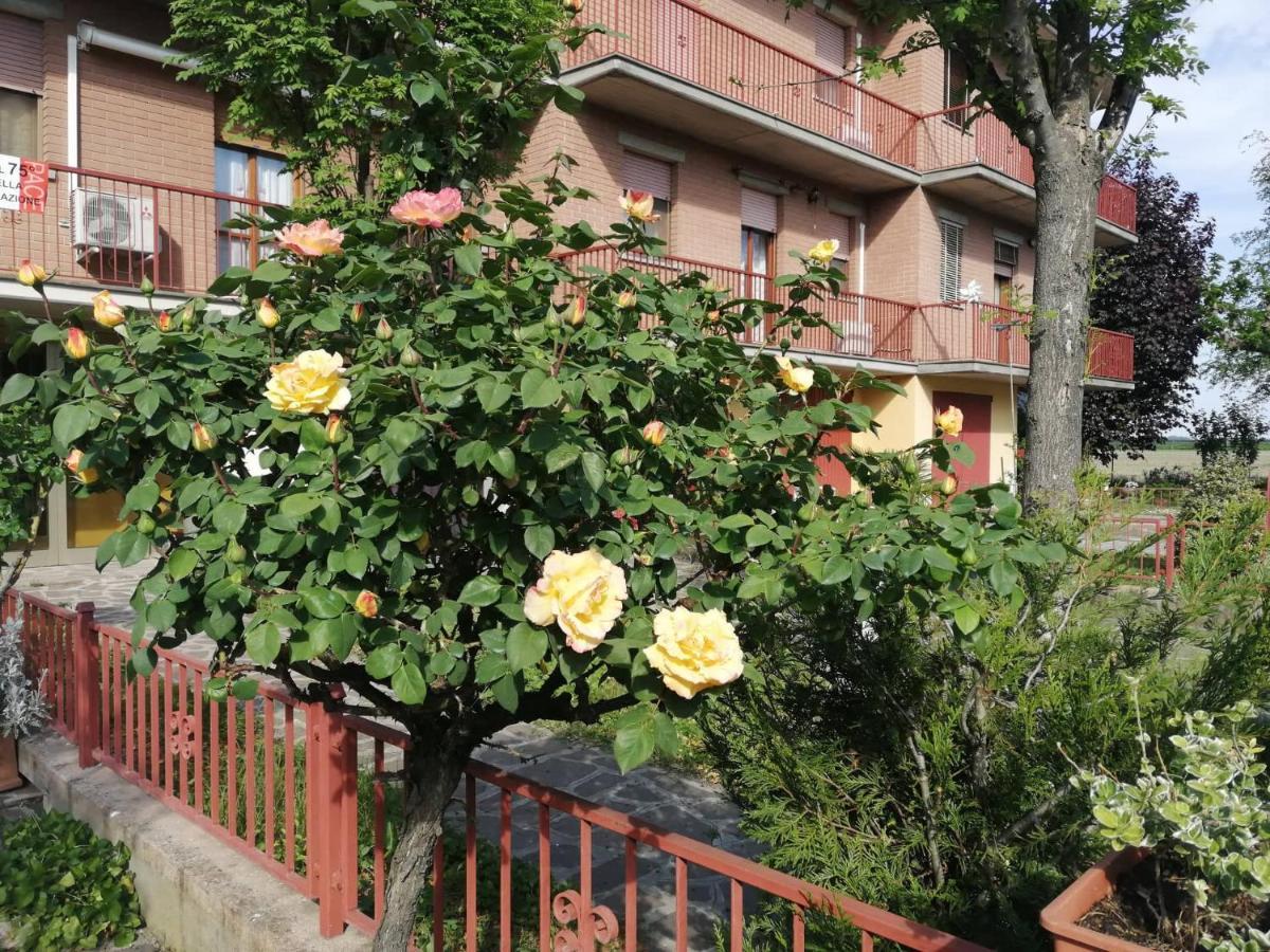 Gold B&B Ravarino Екстериор снимка